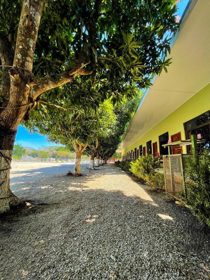 Hotel El Regalo Nicoya Exteriér fotografie